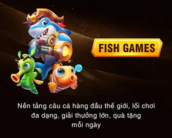 Chính sách hoàn trả hàng tuần
